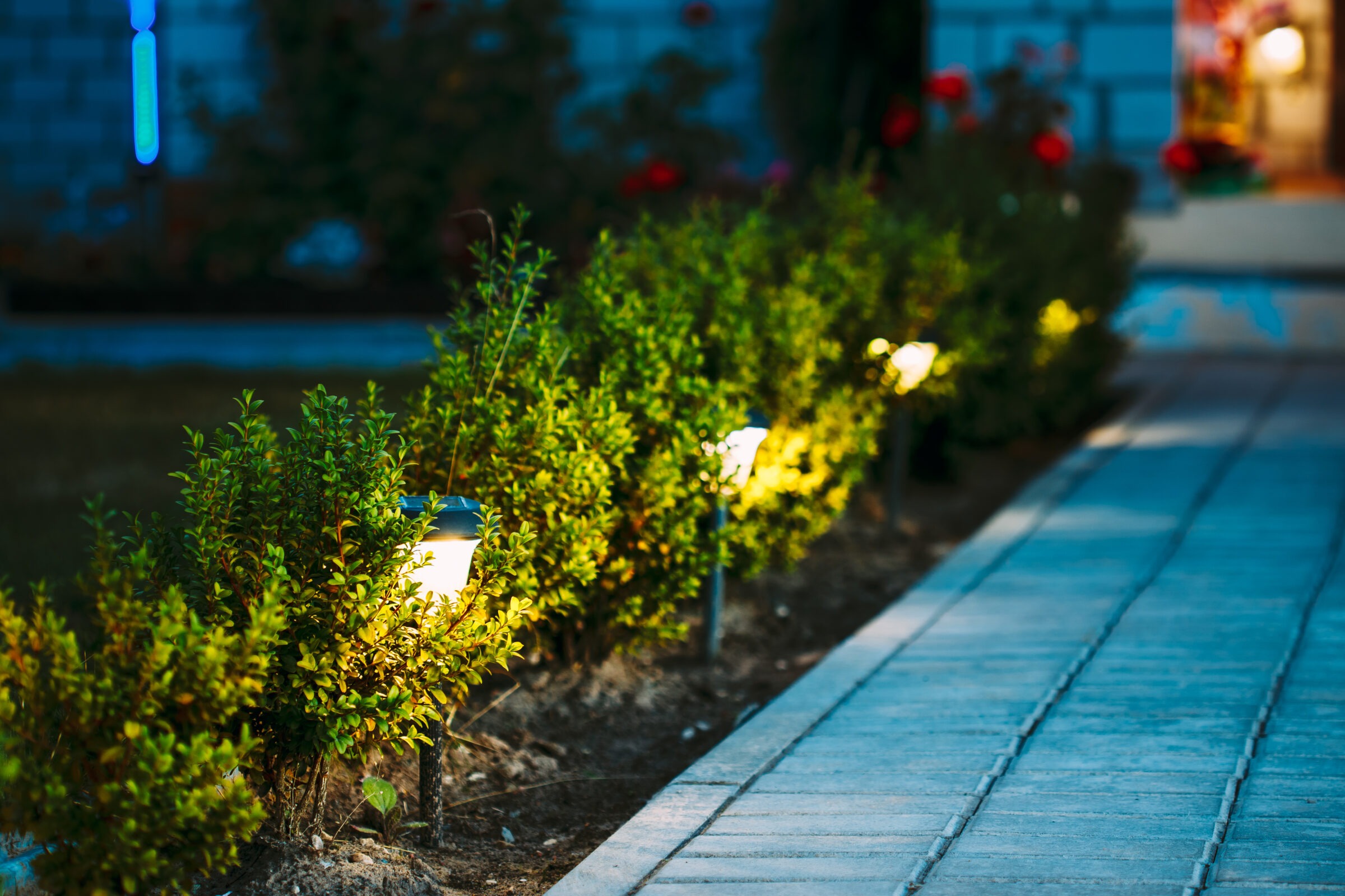 Illuminated pathway with small lights lining a garden, bordered by neatly arranged shrubs, leading to a softly lit building entrance at dusk.