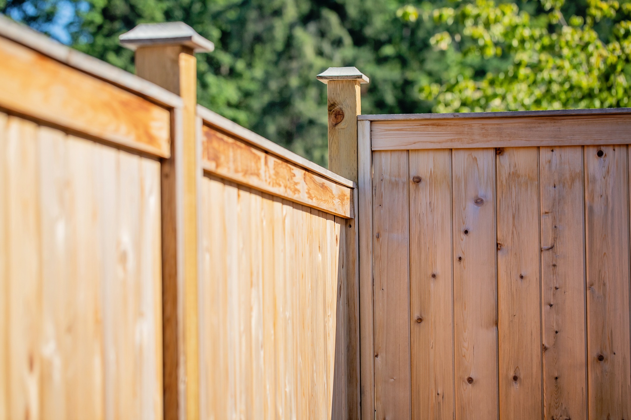 Wooden fence with vertical panels and posts, set against a blurred background of green foliage and trees in natural sunlight.