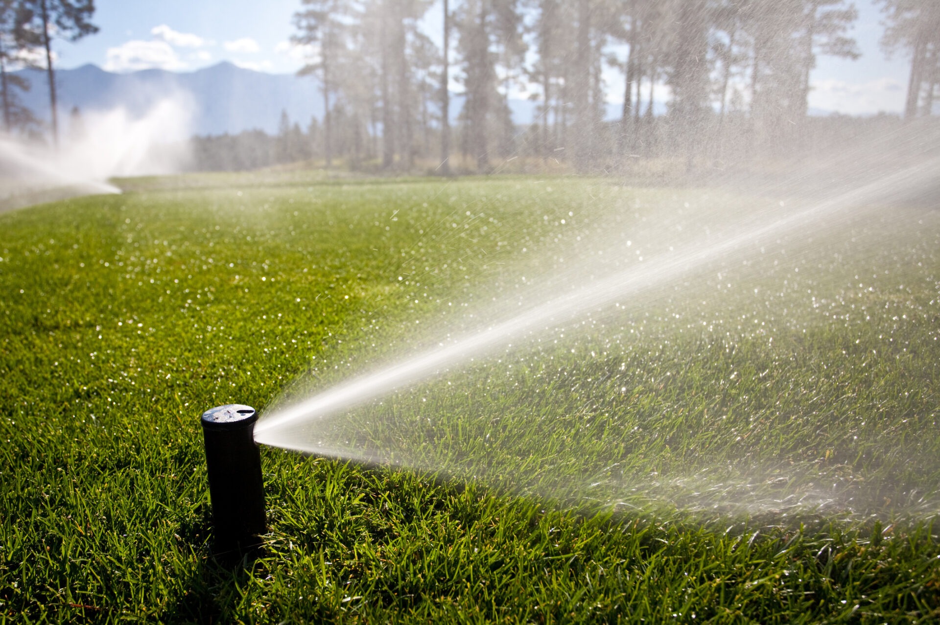 Green lawn being watered by sprinklers under bright sunshine, with blurred background of trees and mountains. No people or landmarks visible.