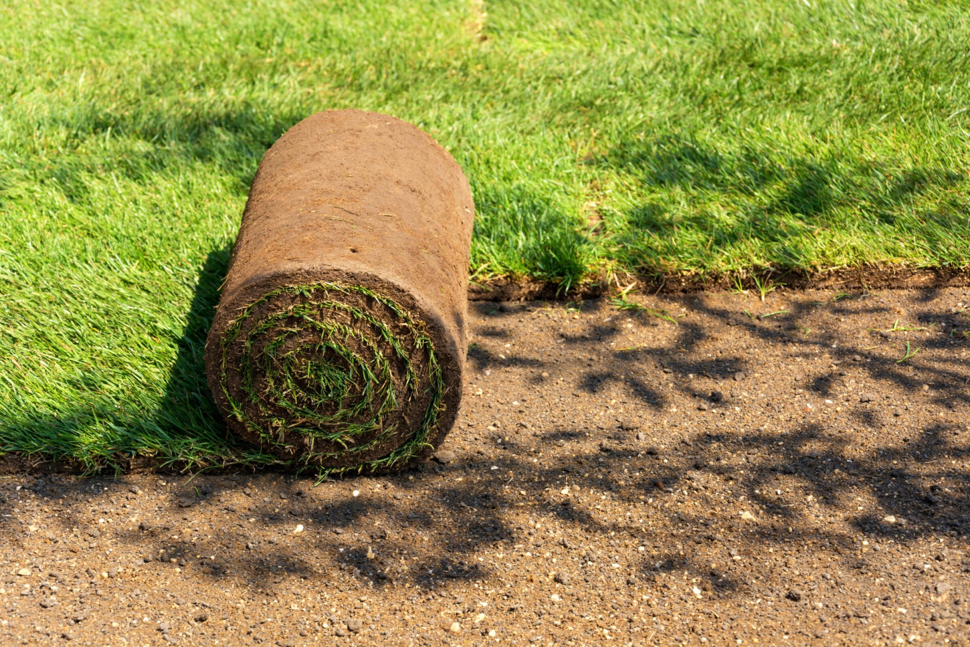 A roll of sod lies partially unrolled on the ground, with fresh green grass visible beside it in sunlight.