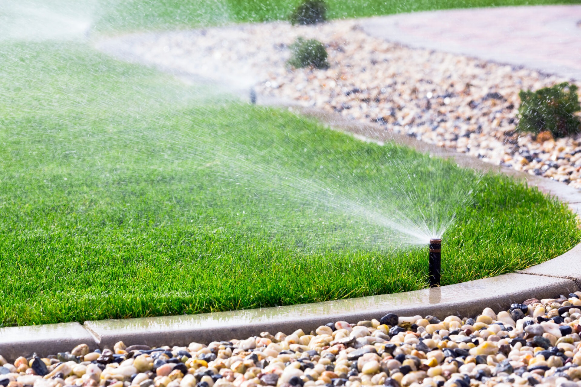 Sprinkler watering lush green lawn with scattered pebbles along the edge, under a sunny sky, creating a fresh and vibrant garden scene.