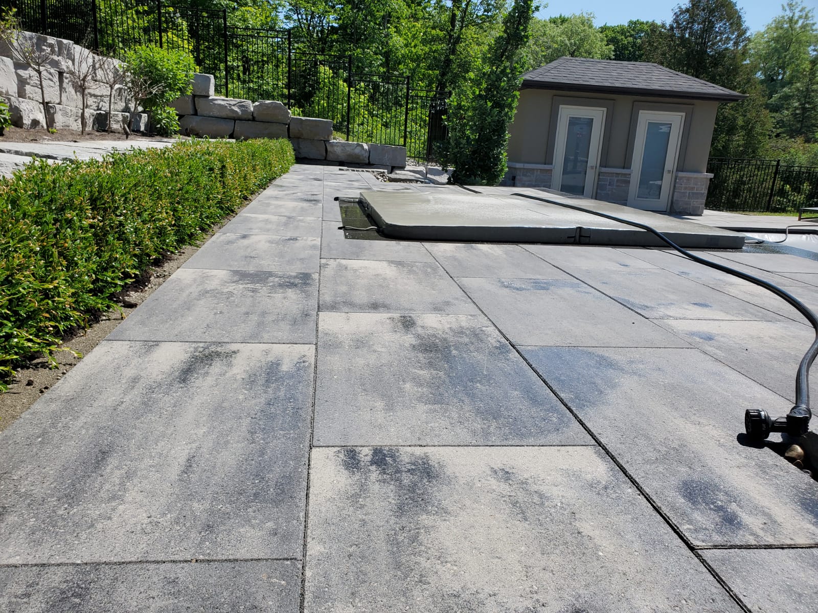 A paved poolside area features greenery and a small building surrounded by trees, with a hose visible on the ground.